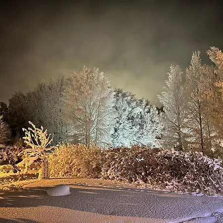 - Northern Tealight Рованиеми