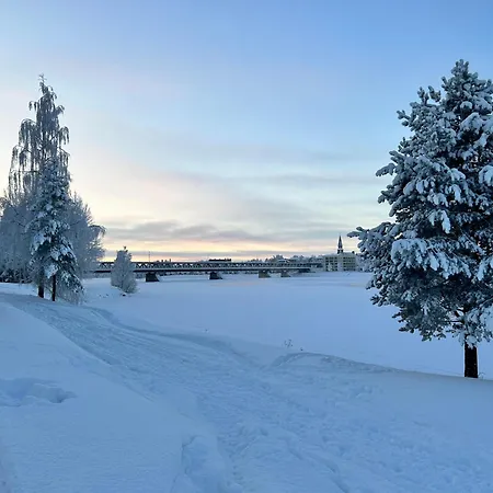 Гостевой дом - Northern Tealight