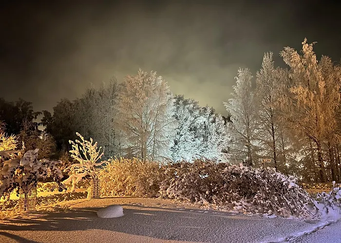 - Northern Tealight Rovaniemi